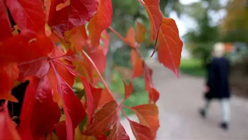 В Казахстане на выходных установится переменчивая осенняя погода В Казахстане на выходных установится переменчивая осенняя погода